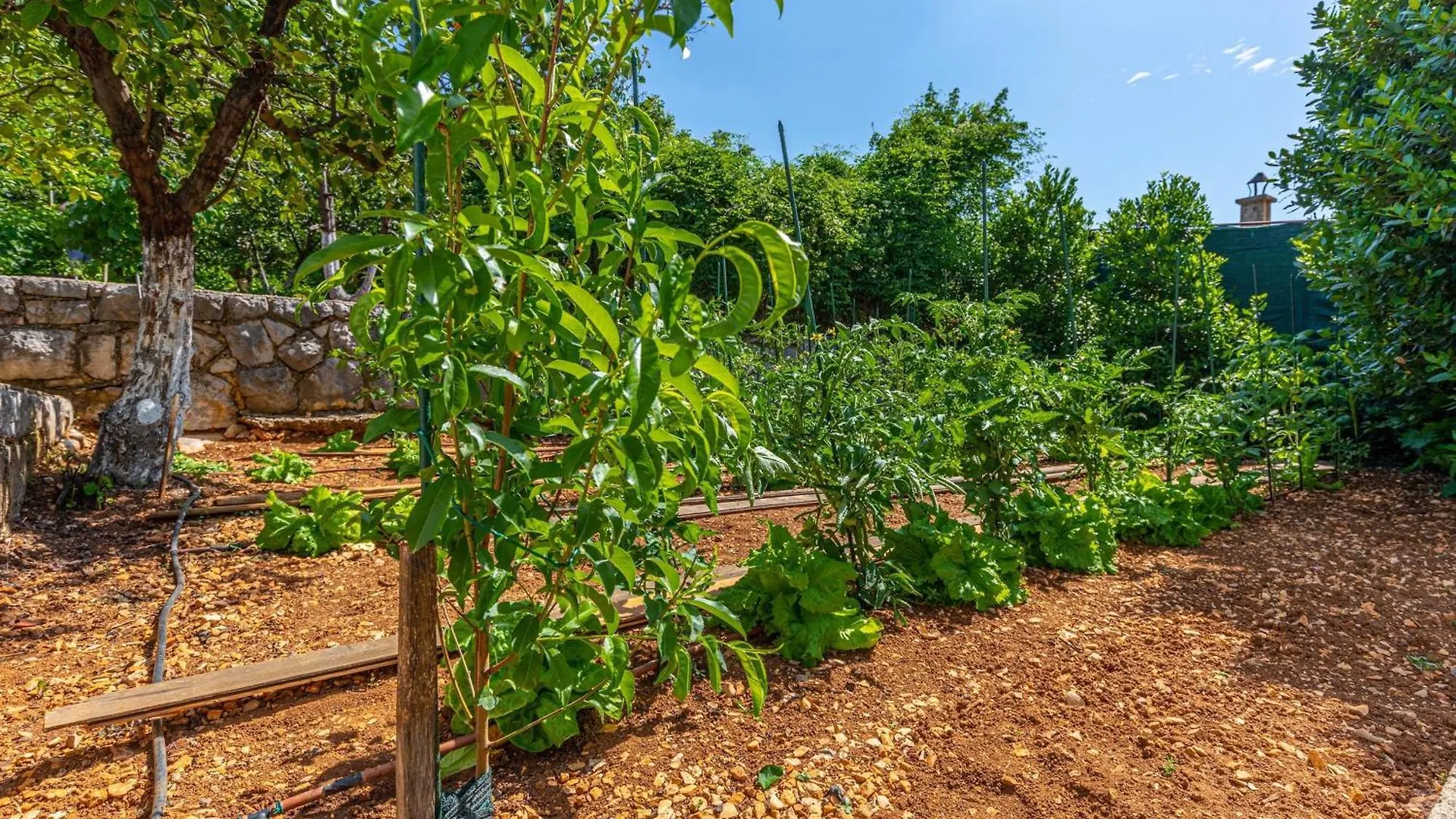 Organic Gardens Villa Crikvenica