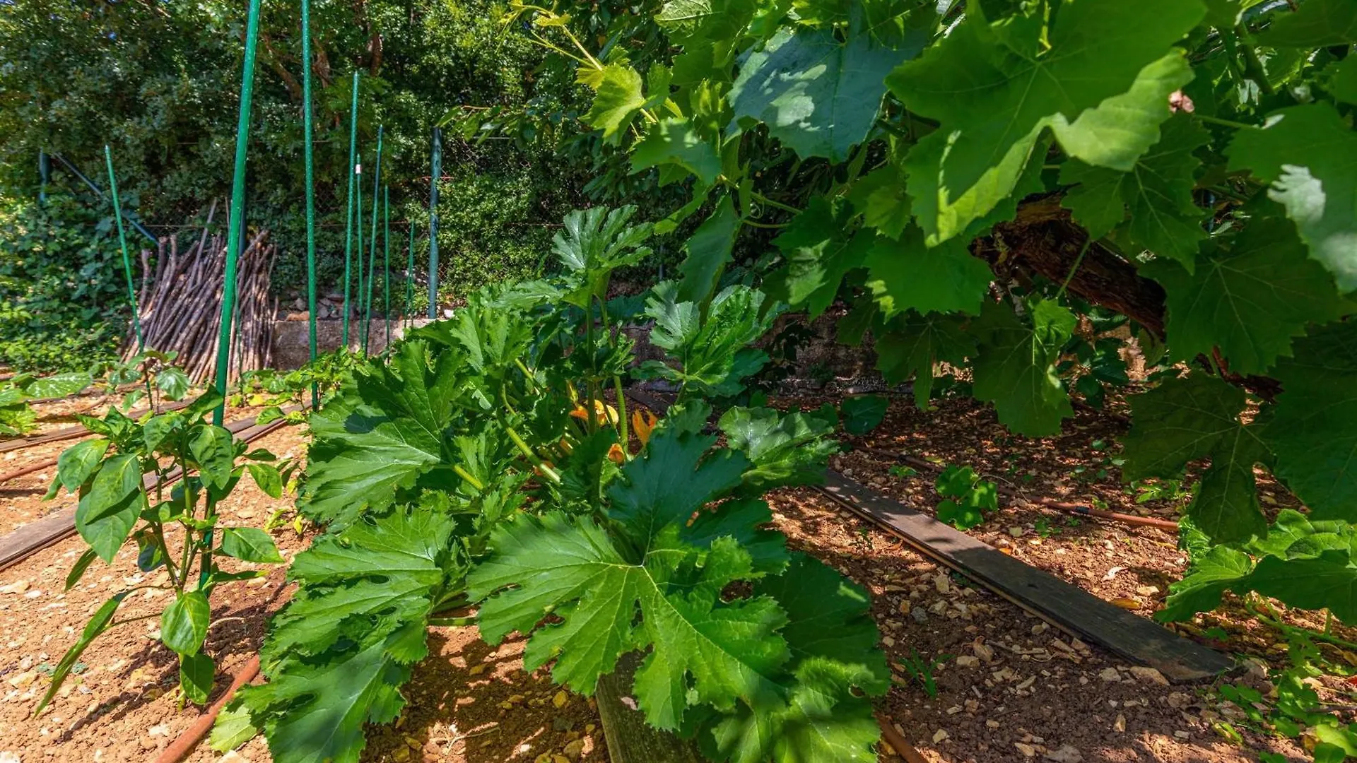 Organic Gardens Villa Crikvenica 0*,  Croatia
