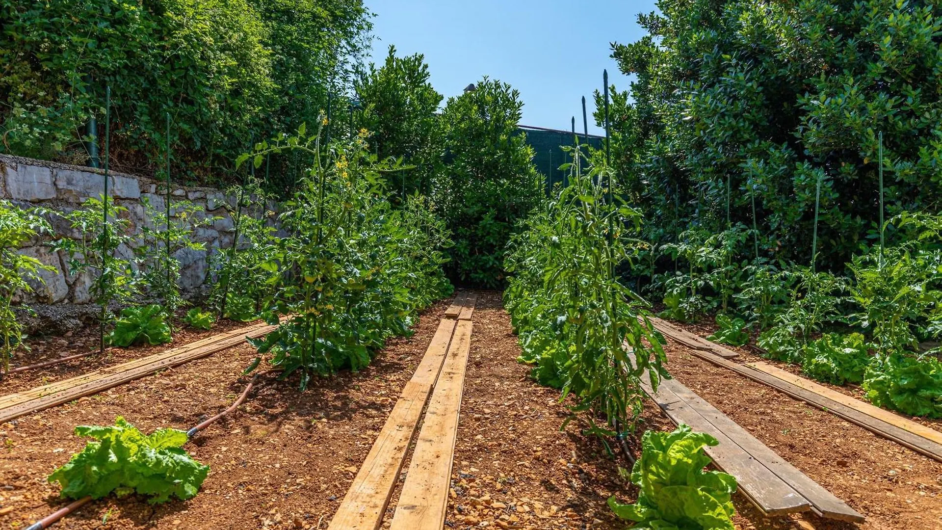 Organic Gardens Villa Crikvenica