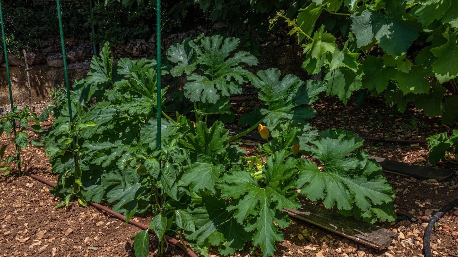 Vila Organic Gardens Crikvenica